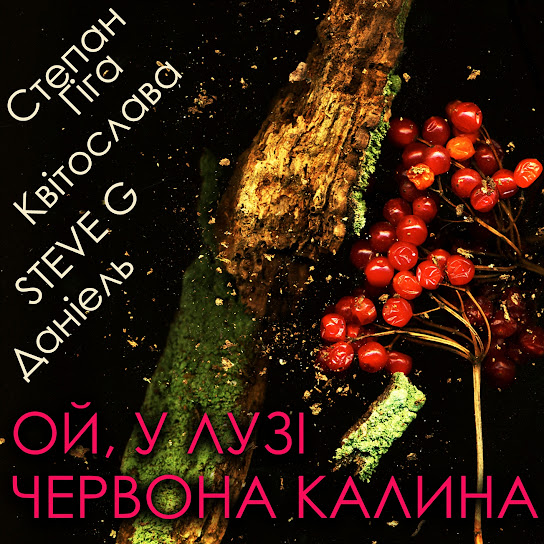 Степан Гіга - Ой, у лузі червона калина (feat. Квітослава, Steve G и Dаніель) (Single 2022)